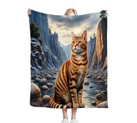 Dozrmey Manta de Felpa Doble Cara Gato Gris, Medida 130x150 cm en Franela Suave, Ideal para Abrazos en el Sofá Decoración del Hogar y como Manta Ligera de Temporada, Cálida y Ligera L4-