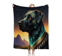 Dozrmey Mantas para Sofas Niños 130 x 150 Perro Colorido, Impresión 3D Manta para Sofá de Franela para Adultos Niños, Manta Polar 100% Microfibra para Viajes y Camping N323