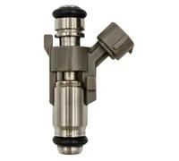 DPGKITS 1 inyector de combustible AUC11700 compatible con John Deere Gator 835R 18 XUV835M XUV825E XUV835E compatible MPN