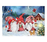 DPHERO 5D Gnomes Diamond Painting Kits for Adults, Christmas Diamond Art Kits for Kids Beginners,Round Full Drill Winter Diamond Painting Art,DIY Paint with Diamonds Gem Painting Art 12x16 inch