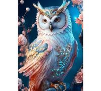 DPHERO 5D Owl Diamond Painting Kits for Adults, Diamond Art Kits for Kids Beginners,Round Full Drill Owl Diamond Painting Art,DIY Paint with Diamonds Flowres Gem Painting Art 12x16 inch