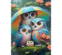 DPHERO DIY Colorful Owl Diamond Painting Kits for Adults,5D Umbrella Diamond Art Kits for Beginners,Round Full Drill Owls Diamond Painting Art,DIY Painting by Numbers Diamond Art Painting 12x16 inch
