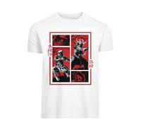DPI Merchandising GmbH, Assassin’s Creed Shadows Camiseta Unisex Panels XL