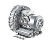 DPLXQPP 120w-1100w Soplador Regenerativo Industrial Aireador Ventilador Vórtice Alta Presión,Soplador Vórtice,Soplador Regenerativo Acuicultura Soplado O Succión Aire,1100w/1.48hp-220V