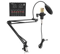 Dpofirs Micrófono de Condensador Kit Profesional de Grabación de Sonido Claro para Estudio, Proyecto Doméstico, Comunicación, Metal Negro, 1 Juego