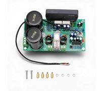 Dpofirs Placa Amplificadora de Audio HiFi, Módulo Amplificador de Doble Canal 200 W X 2 for Karaoke en Casa y System de Sonido DIY