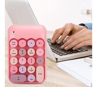 Dpofirs X910 Mini Tecaldo Numérico Inalámbrico con 18 Teclas Redondas, Teclado Numérico USB Impermeable de Color Rosa de Estilo Retro para Computadoras y Portátiles, Teclado Colorido para Contadores