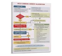 DPURPIWADY Advanced Cardiac Life Support ACLS Algorithm Poster Code Blue Reference for Healthcare Providers Education(Unframed,08x12inch(20x30cm))