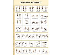 DPURPIWADY No-Equipment Dumbbell Workout Poster, Home Gym Exercise Chart for Full Body Strength Training, Laminated Guide for Men and Women(Unframed,16x24inch(40x60cm))