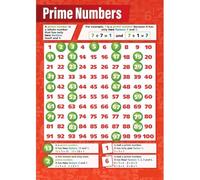 DPURPIWADY Prime Numbers Educational Poster - Complete List & Definition Chart for Middle & High School Math Classrooms, Algebra & Number Theory(Unframed,08x12inch(20x30cm))