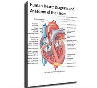 DPURPIWADY Vintage Medical Poster - Human Heart Anatomy Diagram Cardiology Art Print Canvas Wall Hanging for Home Library Decor(Framed,08x12inch(20x30cm))