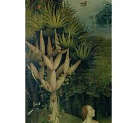 DQCJIYIGL Carteles e Impresos Paradiso La Fontaine. Particolare della Parte Sinistra del Trittico de Il Giardino delle Delizie di Hieronymus Boske para la Decoración del Hogar del Dormitorio 60x90cm