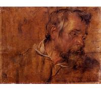 DQCJIYIGL Famoso Cartel del Lienzo Artísticas de Lona Prof Ile Studio di un vecchio barbuto Sir Antony Van Dyck para la Decoración del Hogar de la Oficina 60x90cm