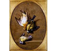 DQCJIYIGL Famoso Cartel del Lienzo Artísticas de Lona un Trompe L'oeil di uccelli canori morti di Jean Bidauld para la Decoración del Hogar de la Oficina 60x90cm