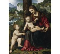 DQCJIYIGL Famoso Impresión Póster Imagen Hermoso Paisaje Lady con Bambino e San di Bernardino Luini para Decoración de Paredes 60x90cm
