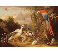 DQCJIYIGL Famoso Impresión Póster Imagen Hermoso Paisaje un'ara anatre pappagalli e altri uccelli in un paesaggio di Jakob Bogdani o Bogdany para Decoración de Paredes 60x90cm