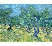 DQCJIYIGL Pinturas Famosas Carteles e Impresos Arte Della Tela Il giardino degli ulivi di Vincent Van Gogh para la Decoración del Hogar del Dormitorio 60x90cm