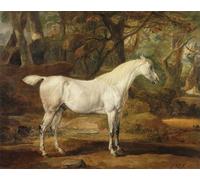DQCJIYIGL Pinturas Famosas Carteles e Impresos Arte Della Tela uno stallone arabo grigio di proprietà di Sir Watkin Williams del famoso artista para la Decoración del Hogar del Dormitorio 60x90cm