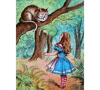 DQCJIYIGL Pinturas Famosas Pintura Pared Lienzo Póster Arte Pared Alice e lo Stregatto di John Tenniel para Decoraciones del Hogar 60x90cm