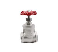 DQFOCPHHAA Stainless Steel Screwed Gate Valve 3/4" BSP Female Valve