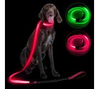 DQGHQME 2 en 1 LED perro correa collar luminoso recargable tipo C