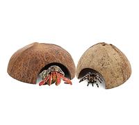 DQITJ 2 unidades de refugio de concha de coco araña, escondite de cangrejo ermitaño, cueva de escondite de lagartos, cabaña de descanso de tortuga, decoración de acuario de pecera