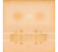 Dr Dog - Dr. Dog