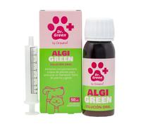 DR Green ALGIGREEN SOLUCIÓN Oral by DRASANVI - Complemento Natural para Perros y Gatos, Apoyo Articular y Bienestar de Tejidos Blandos, con PEA, Cúrcuma, Boswellia, Harpagofito y Vitaminas - 50ml