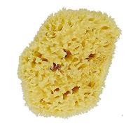 Dr Hauschk (DRHF0), Esponja Marina Natural S/M 8-10 cm