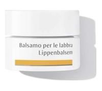 Dr. Hauschka Bálsamo Labial 4,5 g