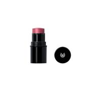 DR. HAUSCHKA Lip to Cheek (03 Rosewood)