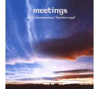 Dr. L Subramaniam / Karsten Vogel - Meetings
