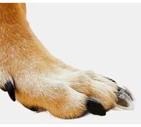 Dr. McHenry's Dog Toe Treads Juego de 20 con Adhesivo y Cepillo de Limpieza, Tracción y Estabilidad en Suelos Resbaladizos, Soporte de Movilidad y Tracción Perros Mayores(Kit Grande, Peso:40-60 lbs.)