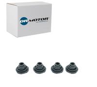 DR.MOTOR AUTOMOTIVE Dichtung, Zylinderkopfhaube DRM0601
