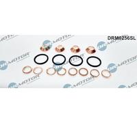 DR.MOTOR AUTOMOTIVE DRM0256SL Juego de juntas inyector