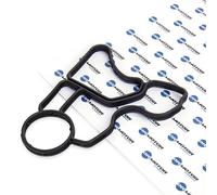 DR.MOTOR AUTOMOTIVE DRM0295 Junta, carcasa del filtro de aceite