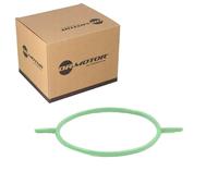 Dr.motor Automotive DRM0349 - Junta, bomba de vacío