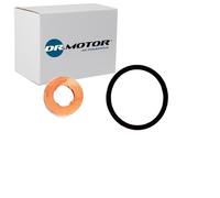 DR.MOTOR AUTOMOTIVE DRM056 Juego de juntas inyector con junta tórica