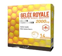 Dr Smith Jalea Real 2000mg 14 ampollas