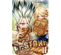 Dr. STONE, Vol. 11: Volume 11 (DR STONE GN)