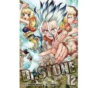 Dr. STONE, Vol. 12: Volume 12 (DR STONE GN)