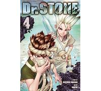Dr. STONE, Vol. 4: Volume 4 (DR STONE GN)
