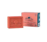 Dr. Tree Champú Sólido 2 En 1 Fortaleza 75g