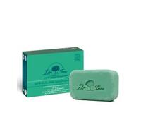 Dr. Tree Solid Nourishing Shower Gel 120g