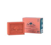 Dr. Tree Solid Shampoo Fortress 2 In 1 75g