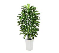 Dracaena Artificial Tree Artificial Silk Tree Faux Tree with White Tall Planter Fake Tropical YUCCA Floor Plant (en inglés) (1, Blanco, 150CM)