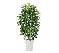 Dracaena Artificial Tree Artificial Silk Tree Faux Tree with White Tall Planter Fake Tropical YUCCA Floor Plant (en inglés) (1, Blanco, 180CM)