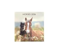 Draeger Paris 1886 - Calendario de pared grande 28 x 29 cm 2026 - Tema Caballos - 12 meses - Papel FSC - Ilustraciones desmontables