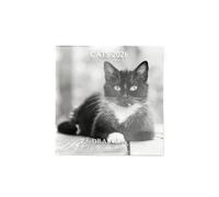 Draeger Paris 1886 - Calendario de pared grande, 28 x 29 cm, 2026, tema de gatos blanco y negro, 12 meses, papel FSC, ilustraciones desmontables