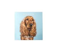 Draeger Paris 1886 - Calendario de pared grande 28 x 29 cm 2026 - Tema perros - 12 meses - Papel FSC - ilustraciones desmontables